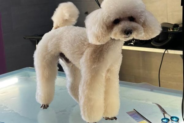 05eac4cc-01db-41c7-ab2d-bec39c297709