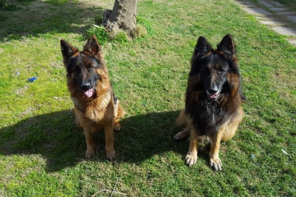 434156e2-1667-434e-b5d0-94e98aded3ce